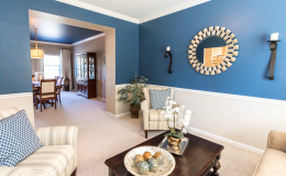 Interior Painting Company - Blue Accents