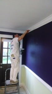 Blue Bell Painting Services