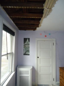 Plaster Ceiling Repair and Painting
